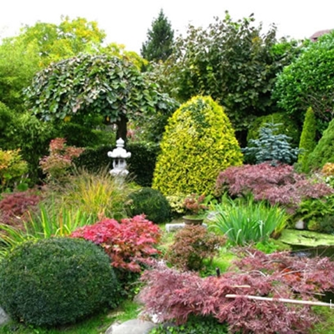 Garden Design Photo
